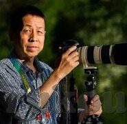 老式水果机游戏破解版-解锁老式水果机游戏的秘密，从经典到创新的玩法解析